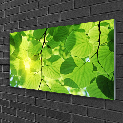 Glasbild aus Plexiglas® Blätter Pflanzen
