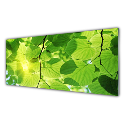 Glasbild aus Plexiglas® Blätter Pflanzen
