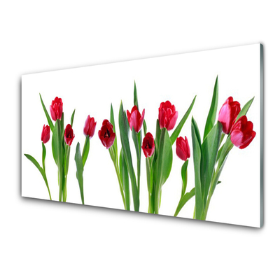 Glasbild aus Plexiglas® Tulpen Pflanzen