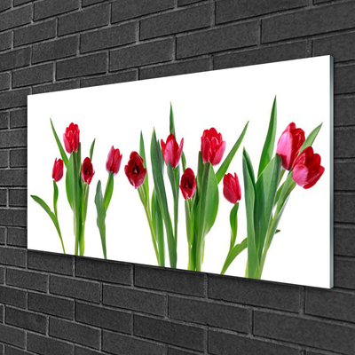 Glasbild aus Plexiglas® Tulpen Pflanzen