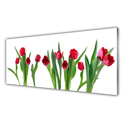 Glasbild aus Plexiglas® Tulpen Pflanzen