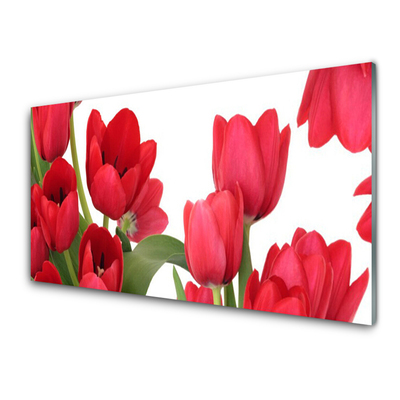 Glasbild aus Plexiglas® Tulpen Pflanzen