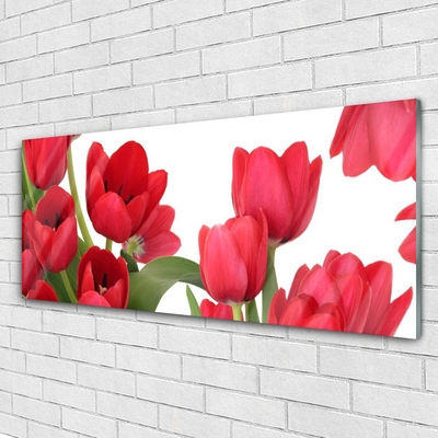 Glasbild aus Plexiglas® Tulpen Pflanzen