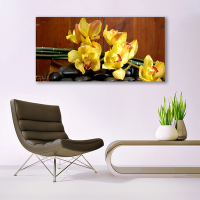 Glasbild aus Plexiglas® Blumen Steine Pflanzen