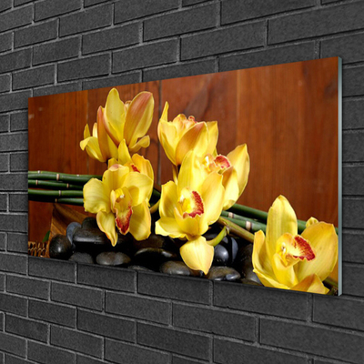 Glasbild aus Plexiglas® Blumen Steine Pflanzen