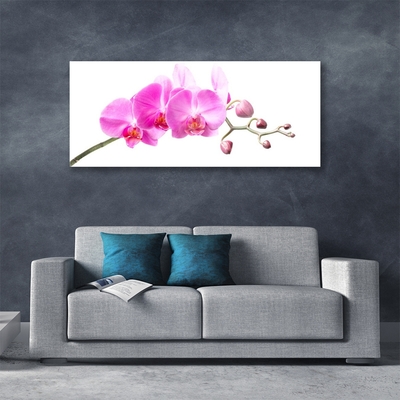 Glasbild aus Plexiglas® Blumen Pflanzen