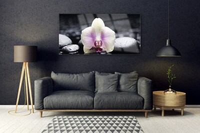Glasbild aus Plexiglas® Blume Steine Pflanzen