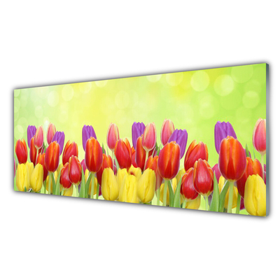 Glasbild aus Plexiglas® Tulpen Pflanzen