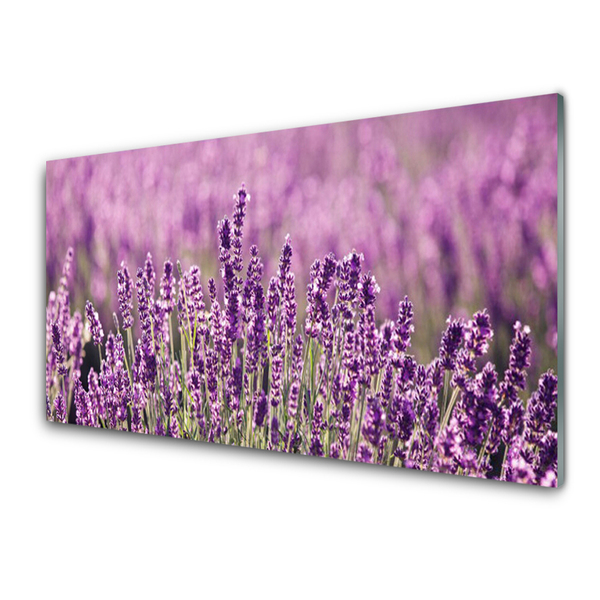 Glasbild aus Plexiglas® Blumen Pflanzen