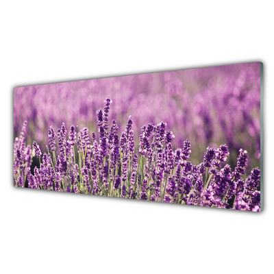 Glasbild aus Plexiglas® Blumen Pflanzen