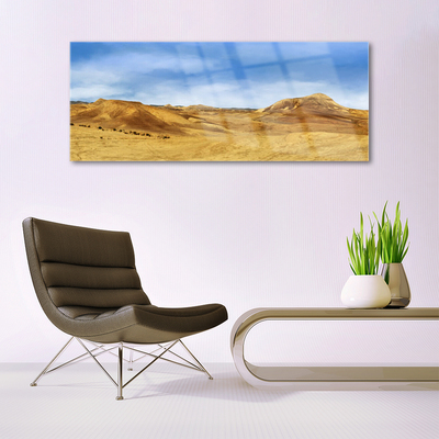 Glasbild aus Plexiglas® Wüste Landschaft