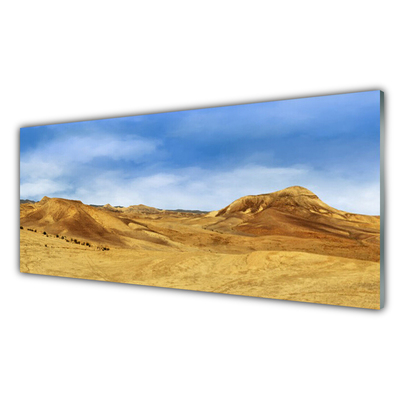 Glasbild aus Plexiglas® Wüste Landschaft