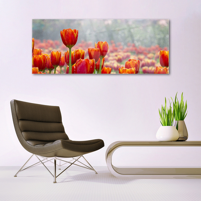 Glasbild aus Plexiglas® Tulpen Pflanzen