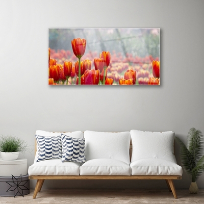 Glasbild aus Plexiglas® Tulpen Pflanzen