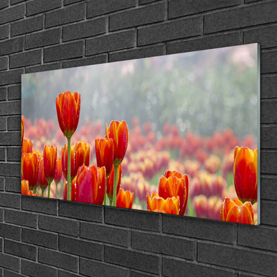 Glasbild aus Plexiglas® Tulpen Pflanzen