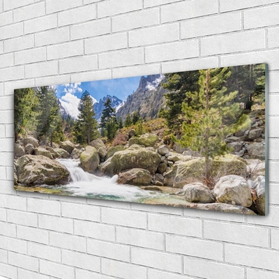 Glasbild aus Plexiglas® Gebirge Wald Steine See Natur