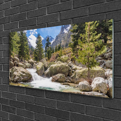 Glasbild aus Plexiglas® Gebirge Wald Steine See Natur