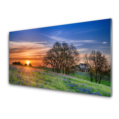 Glasbild aus Plexiglas® Wiese Sonne Landschaft