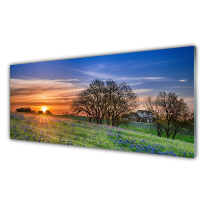 Glasbild aus Plexiglas® Wiese Sonne Landschaft