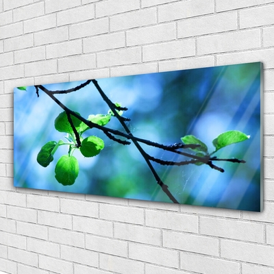 Glasbild aus Plexiglas® Zweig Blätter Pflanzen