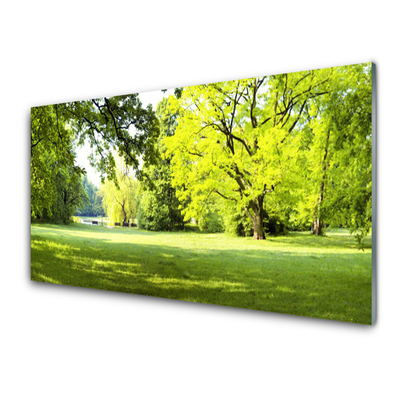 Glasbild aus Plexiglas® Gras Bäume Natur