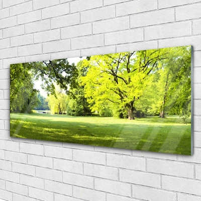 Glasbild aus Plexiglas® Gras Bäume Natur