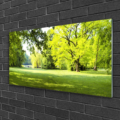 Glasbild aus Plexiglas® Gras Bäume Natur