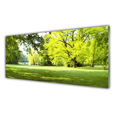 Glasbild aus Plexiglas® Gras Bäume Natur