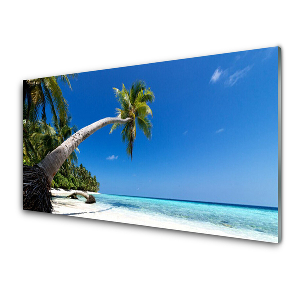 Glasbild aus Plexiglas® Strand Palme Meer Landschaft