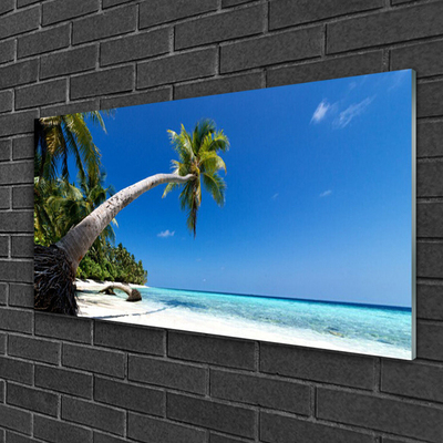 Glasbild aus Plexiglas® Strand Palme Meer Landschaft