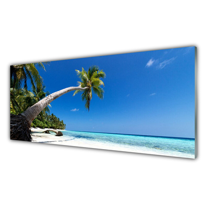 Glasbild aus Plexiglas® Strand Palme Meer Landschaft