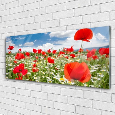 Glasbild aus Plexiglas® Wiese Blumen Natur