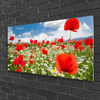 Glasbild aus Plexiglas® Wiese Blumen Natur