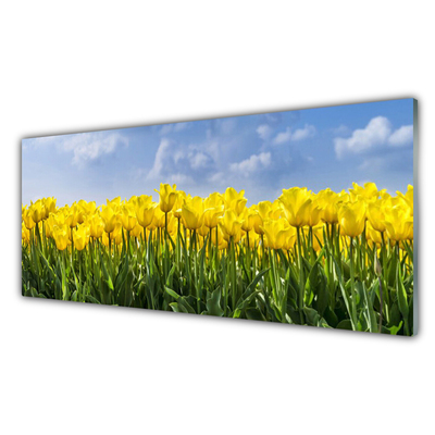 Glasbild aus Plexiglas® Tulpen Pflanzen