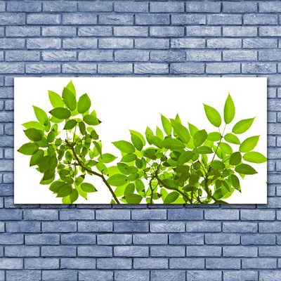 Glasbild aus Plexiglas® Zweige Blätter Pflanzen