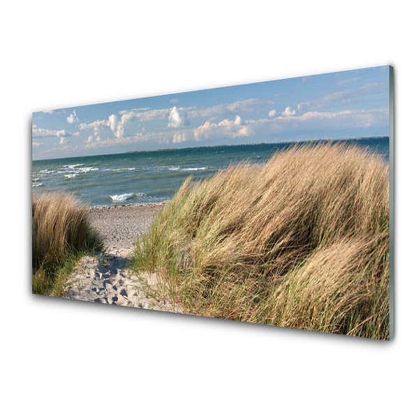 Glasbild aus Plexiglas® Fußpfad Meer Gras Landschaft