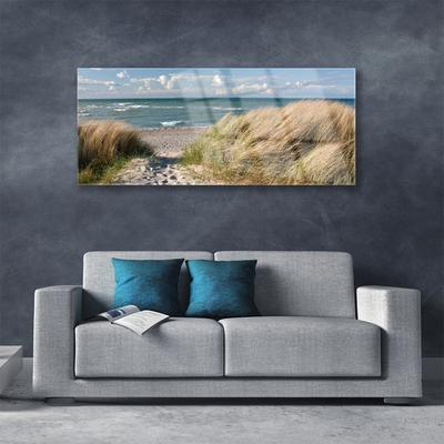 Glasbild aus Plexiglas® Fußpfad Meer Gras Landschaft