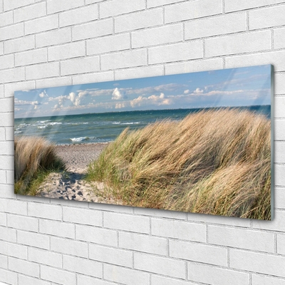 Glasbild aus Plexiglas® Fußpfad Meer Gras Landschaft