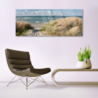 Glasbild aus Plexiglas® Fußpfad Meer Gras Landschaft