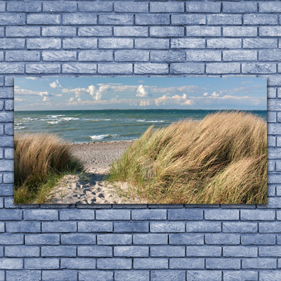 Glasbild aus Plexiglas® Fußpfad Meer Gras Landschaft