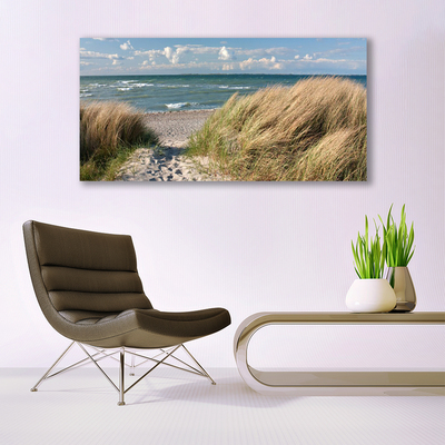 Glasbild aus Plexiglas® Fußpfad Meer Gras Landschaft