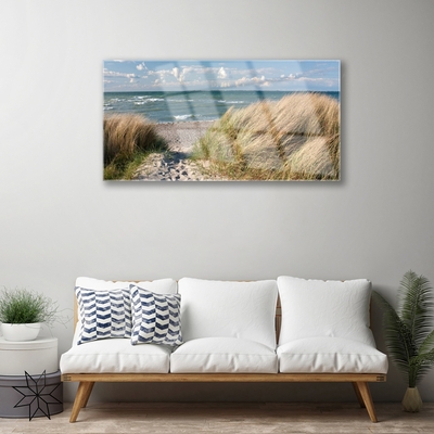 Glasbild aus Plexiglas® Fußpfad Meer Gras Landschaft