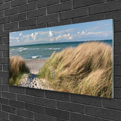 Glasbild aus Plexiglas® Fußpfad Meer Gras Landschaft