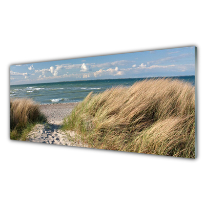 Glasbild aus Plexiglas® Fußpfad Meer Gras Landschaft