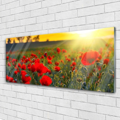 Glasbild aus Plexiglas® Wiese Blumen Natur