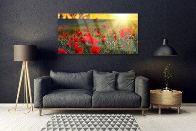 Glasbild aus Plexiglas® Wiese Blumen Natur