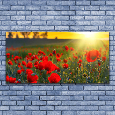 Glasbild aus Plexiglas® Wiese Blumen Natur