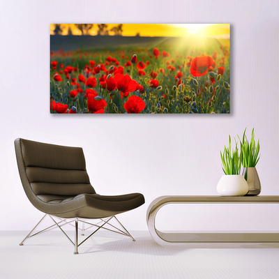 Glasbild aus Plexiglas® Wiese Blumen Natur