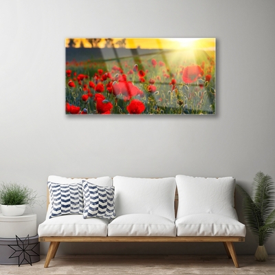 Glasbild aus Plexiglas® Wiese Blumen Natur