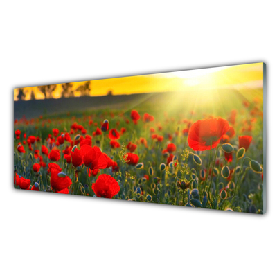 Glasbild aus Plexiglas® Wiese Blumen Natur